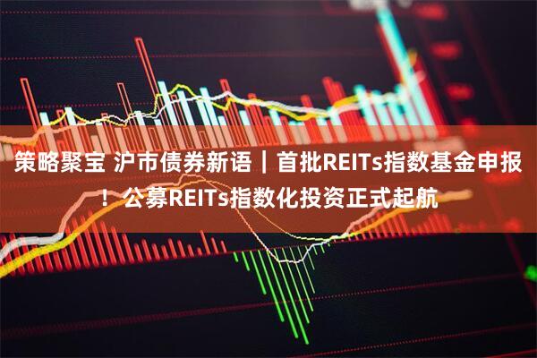 策略聚宝 沪市债券新语｜首批REITs指数基金申报！公募REITs指数化投资正式起航