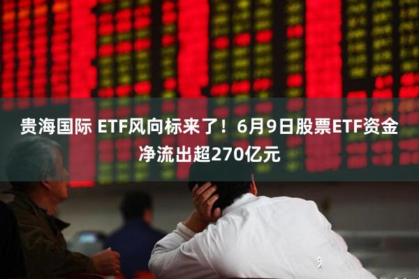 贵海国际 ETF风向标来了！6月9日股票ETF资金净流出超270亿元